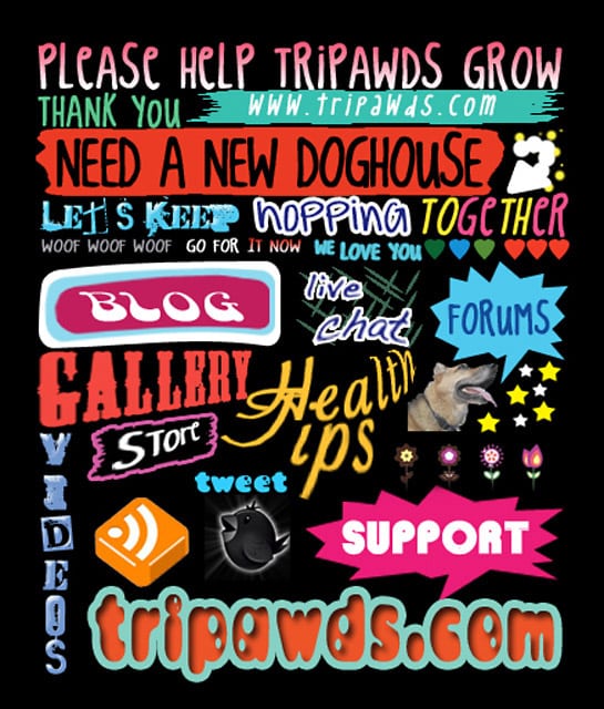 click to enlarge support upgrade to imporve tripawds forum speed