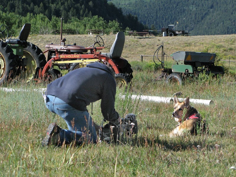 Filming Jerry at Vickers ranch for Nature's Why We Love Cats and Dogs Filming Jerry for PBS Nature Series Show Why We Love Cats and Dogs
