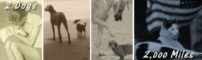 2 Dogs 2000 Miles