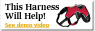 Ruff Wear Web Master harness support for three-legged dogs