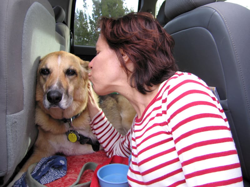 Nature Producer Ellen Kisses Jerry after two long days of filming. Why We Love Cats and Dogs PBS Producer Ellen Kissing Jerry