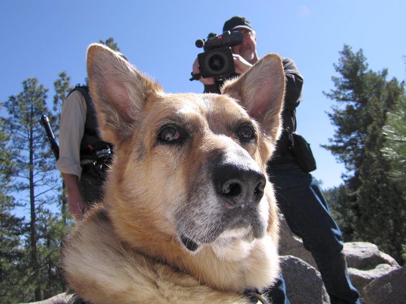 Jerry poses for Nature's Why We Love Cats and Dogs camera crew Jerry PBS Nature Why We Love Cats and Dogs