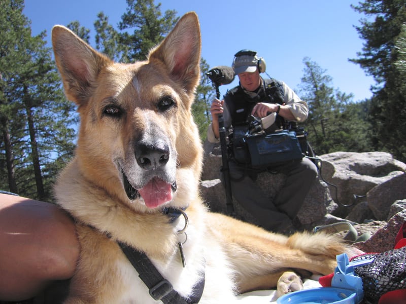 On location with Jerry in Santa Fe, NM with Nature Jerry stars in Why We Love Cats and Dogs