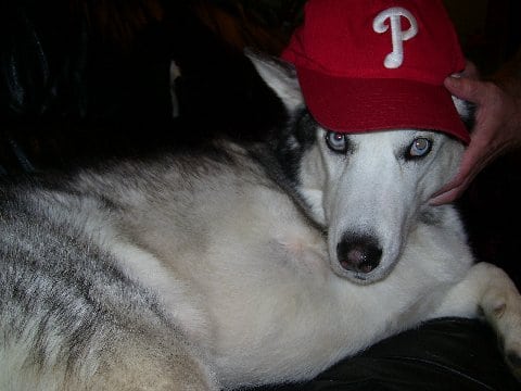 buster8.jpg buster8.jpg