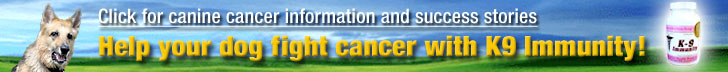 K9 Immunity Canine Cancer Treatments