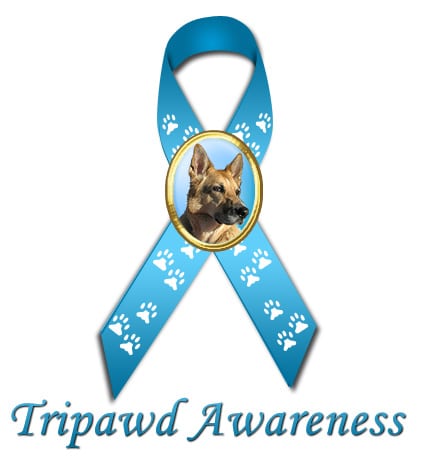 tripawd-ribbon.jpg