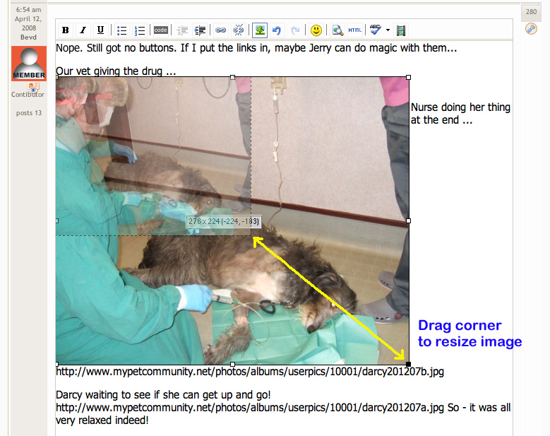 How To Resize Image in Forum Post