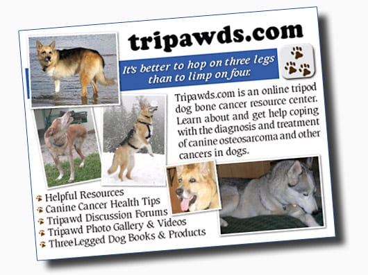 Help spread the word with free Tripawds cards!
