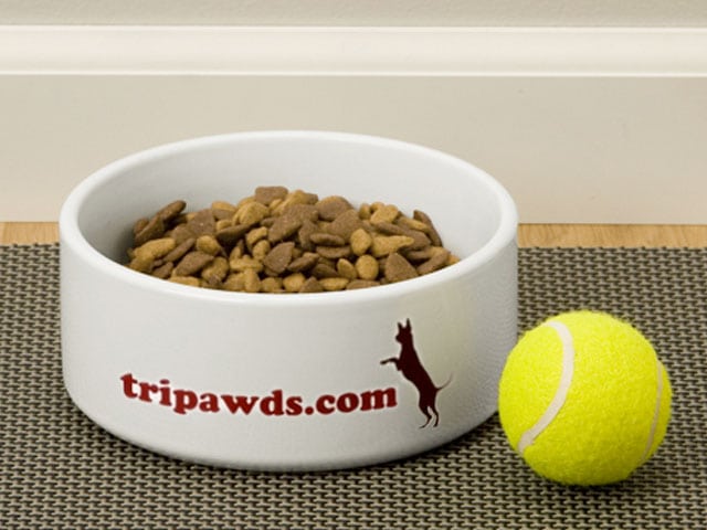 Support tripawds.com with Tripawds Pet Bowl