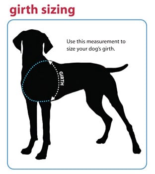 Ruffwear webmaster sizing cheap