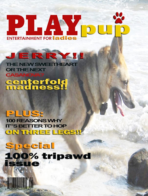 Jerry on PlayPup Magazine