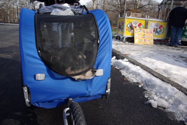 extra wide dog stroller